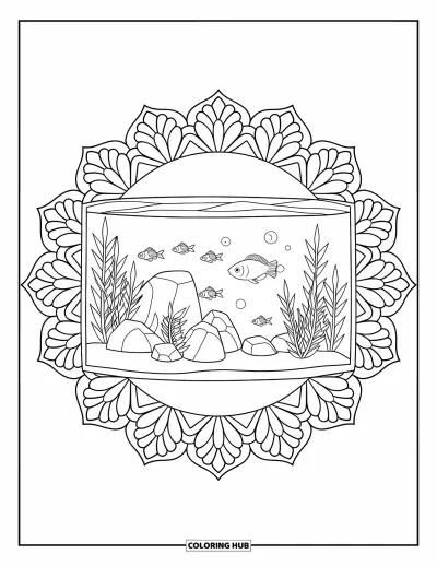 Desenho de aquário para colorir para adultos: Aquário com pedras e tetras dentro de um quadro de mandala floral