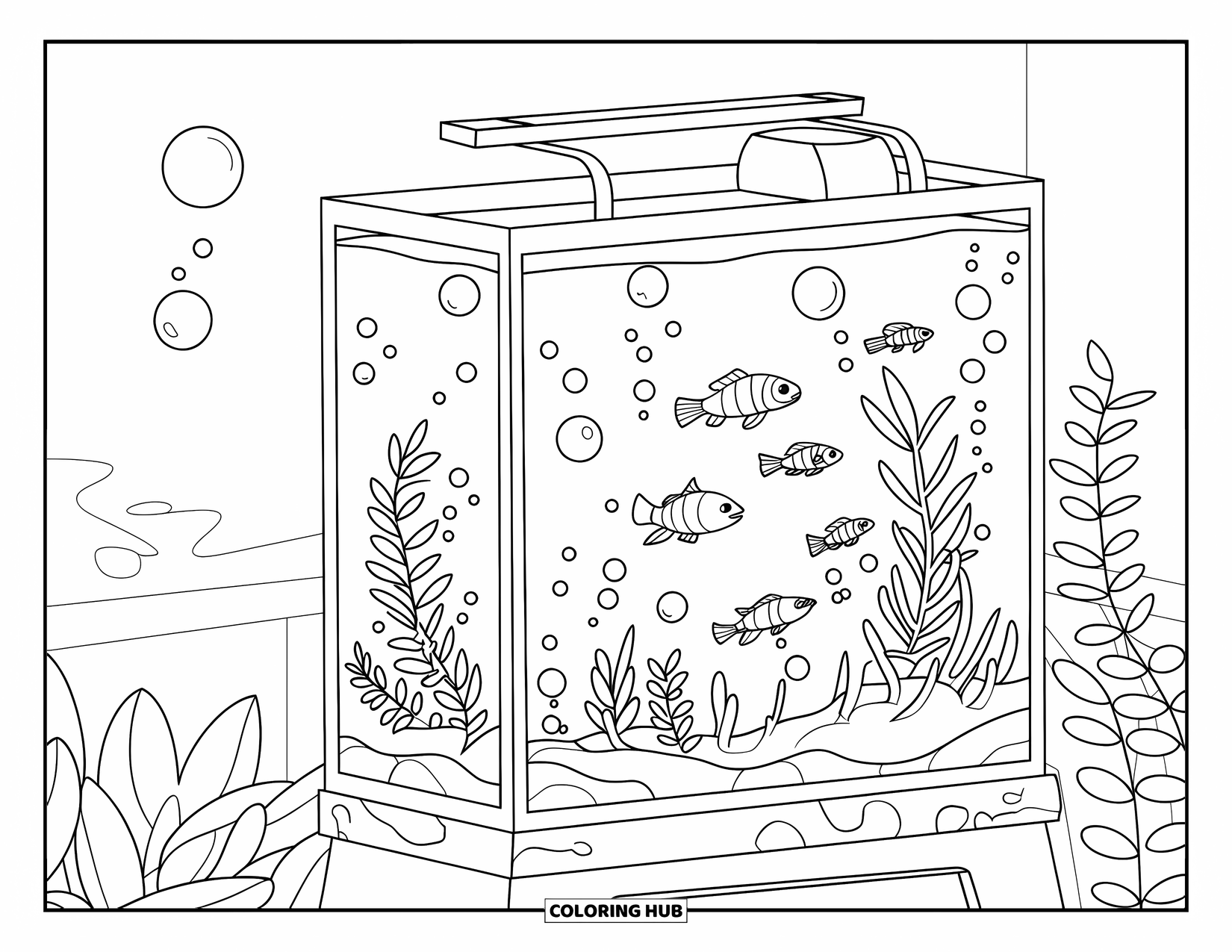 Aquarium Coloring Page for Kids: Tetras glide through bubbles in a simple rectangular aquarium