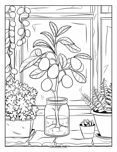 Coloriage d'avocat pour enfants : Une plante d'avocat qui pousse dans un bocal avec des plantes en pot sur un rebord de fenêtre