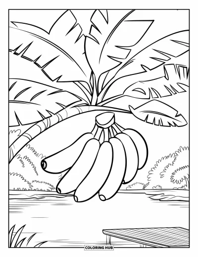 Coloriage de bananes pour enfants : Un régime de bananes se balance à un arbre dans une forêt tranquille