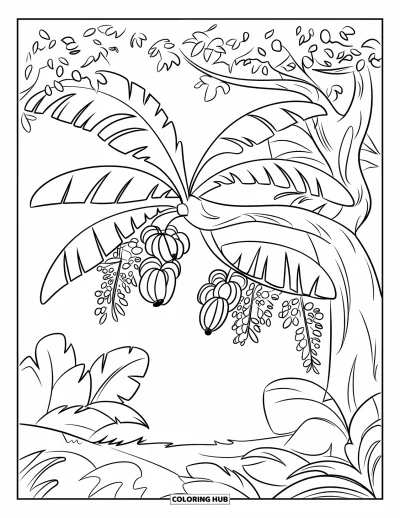 Coloriage de bananes pour enfants : Un arbre de jungle avec des régimes de bananes s'étend au-dessus d'un sol couvert de feuilles