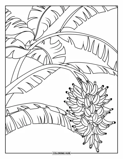 Coloriage de bananes pour enfants : Des bananes pendent d'une branche feuillue dans une scène tropicale apaisante