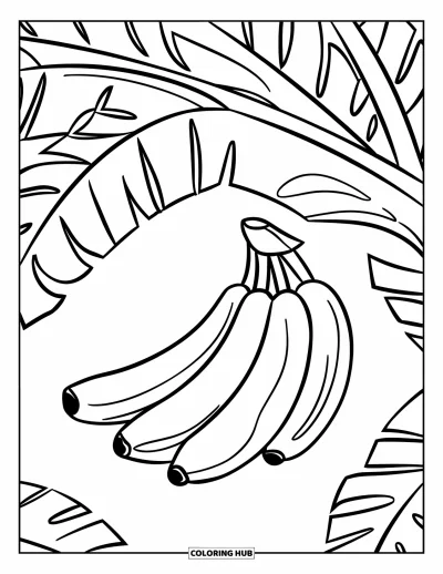 Coloriage de bananes pour enfants : Des bananes pendent d'une branche d'arbre avec de grandes feuilles au-dessus