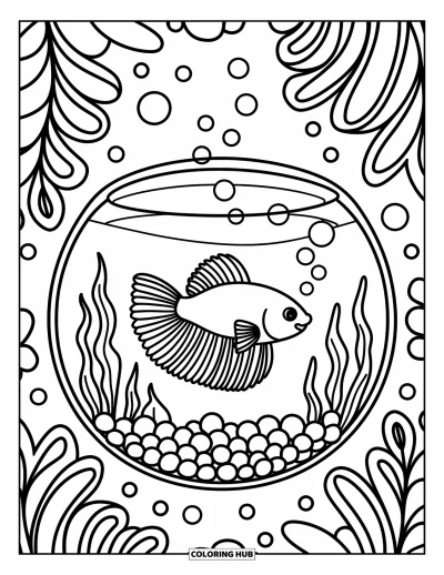 Coloriage de poisson betta pour adultes : Un poisson betta flotte dans un bocal rond avec des bulles et des galets au fond