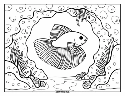 Coloriage de poisson betta pour adultes : Un poisson betta glisse hors d'une grotte bordée de coquillages avec des rochers doux et des détails poétiques