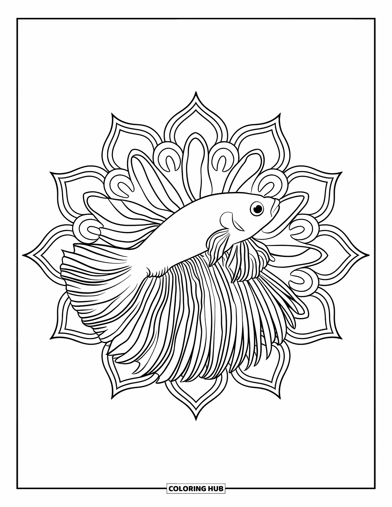 Betta Fish Coloring Page for Adults: A betta fish is centered with long mandala fins and a simple, clean backdrop
