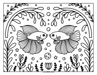 Coloriage de poisson betta pour adultes : Deux poissons betta nagent en sens opposés avec des nageoires gracieuses et des algues enroulées