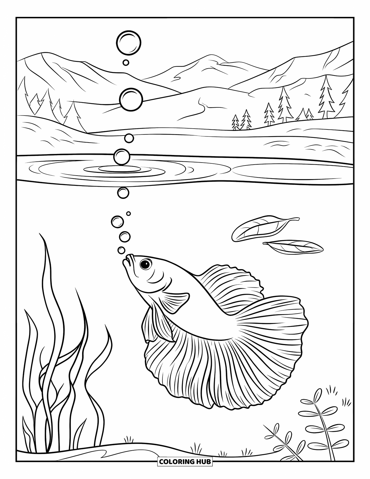 Betta Fish Coloring Page for Kids: A betta fish blows bubbles toward two leaves on a calm water surface