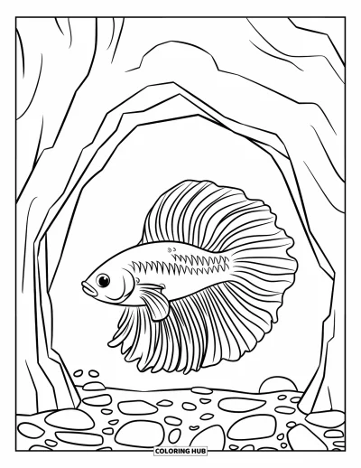 Coloriage de poisson betta pour enfants : Un poisson betta explore près d'un rocher en forme de grotte et de pierres d'aquarium dispersées