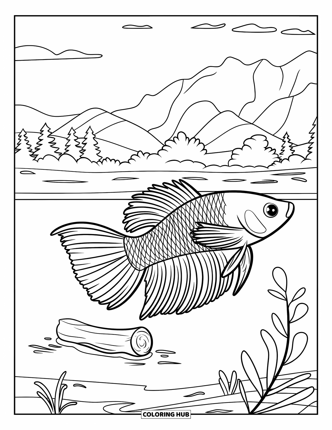 Betta Fish Coloring Page for Kids: A betta fish explores near a small log in shallow water with plants