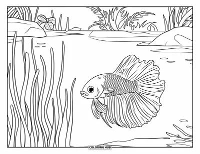 Coloriage de poisson betta pour enfants : Un poisson betta flotte près de plantes et de rochers dans un étang verdoyant et calme