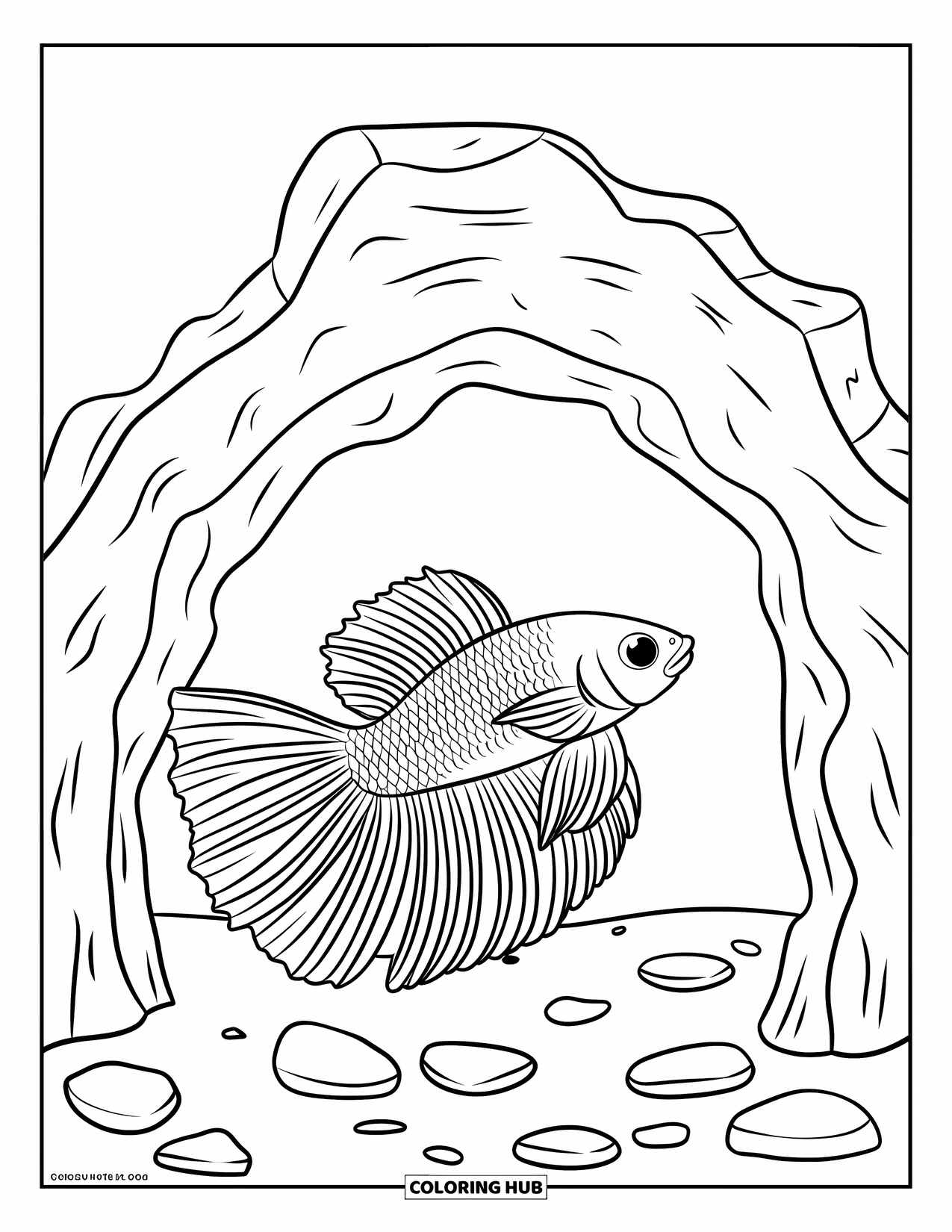 Betta Fish Coloring Page for Kids: A betta fish glides beside a cave rock and scattered stones in a clean tank