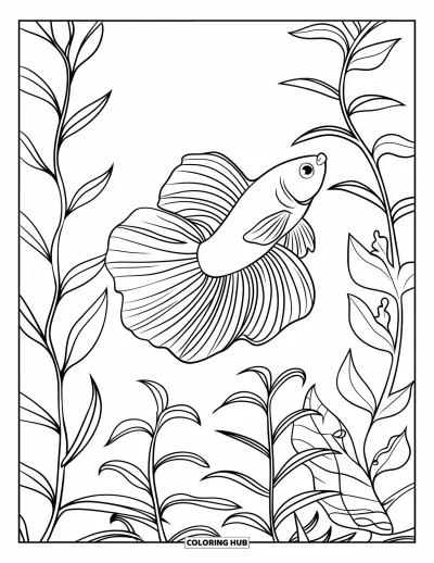 Coloriage de poisson betta pour enfants : Un poisson betta glisse parmi de grandes plantes aux feuilles courbées dans une eau tranquille