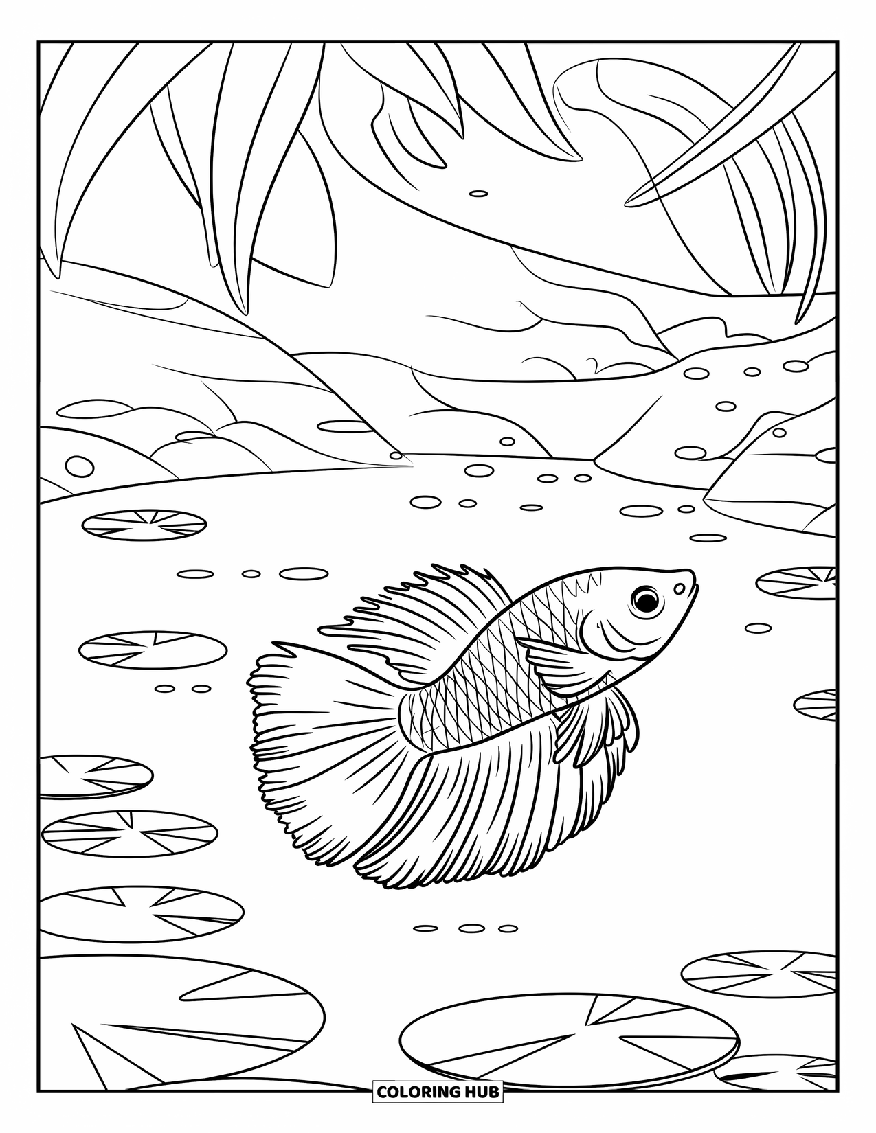 Betta Fish Coloring Page for Kids: A betta fish glides under floating leaves in a peaceful lily pond