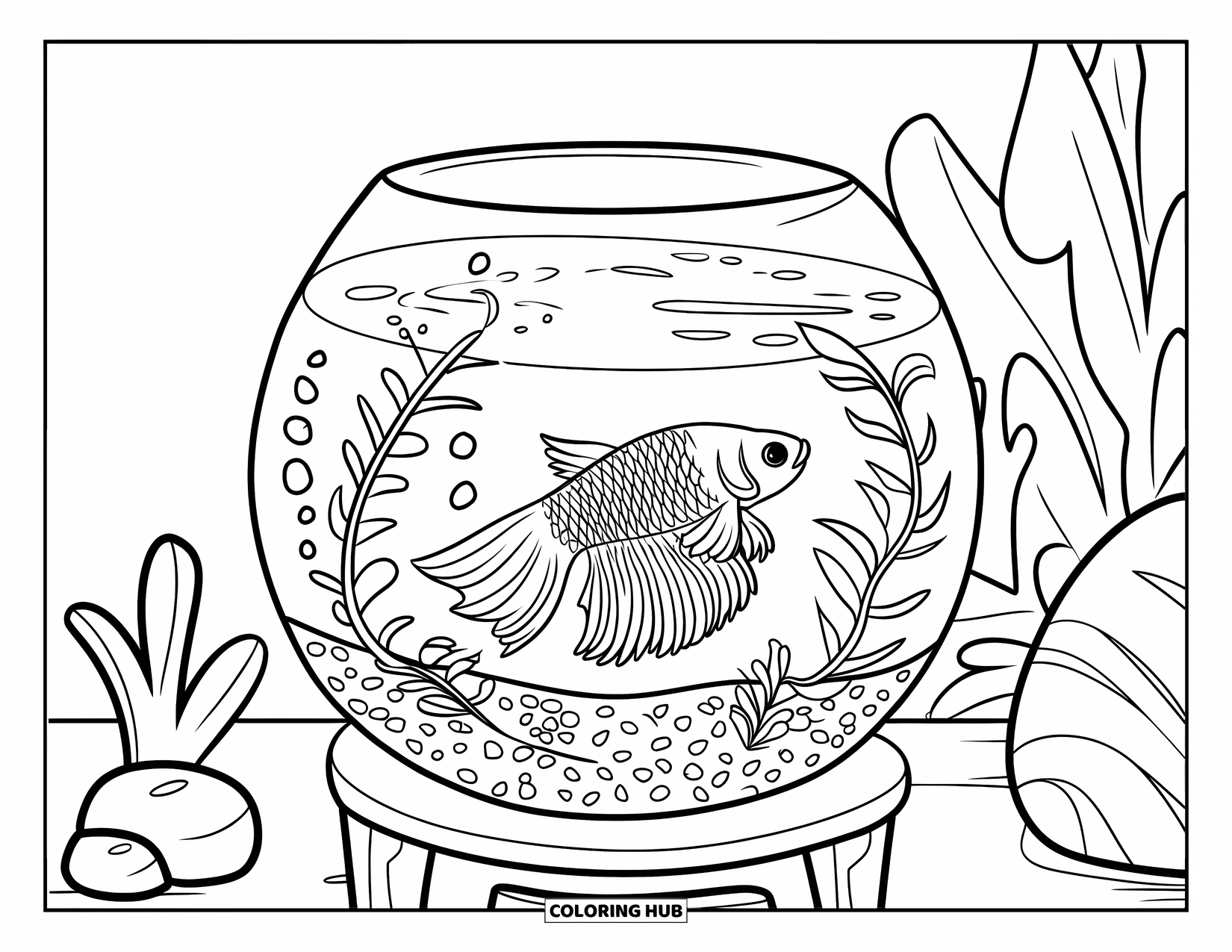 Betta Fish Coloring Page for Kids: A betta fish rests in a round bowl with rocks, plants, and a calm view