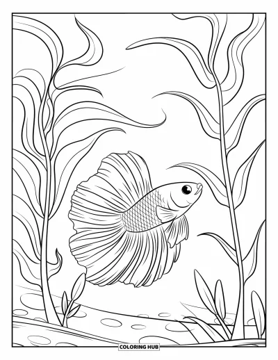 Coloriage de poisson betta pour enfants : Un poisson betta nage parmi de grandes plantes aquatiques aux feuilles douces et courbées