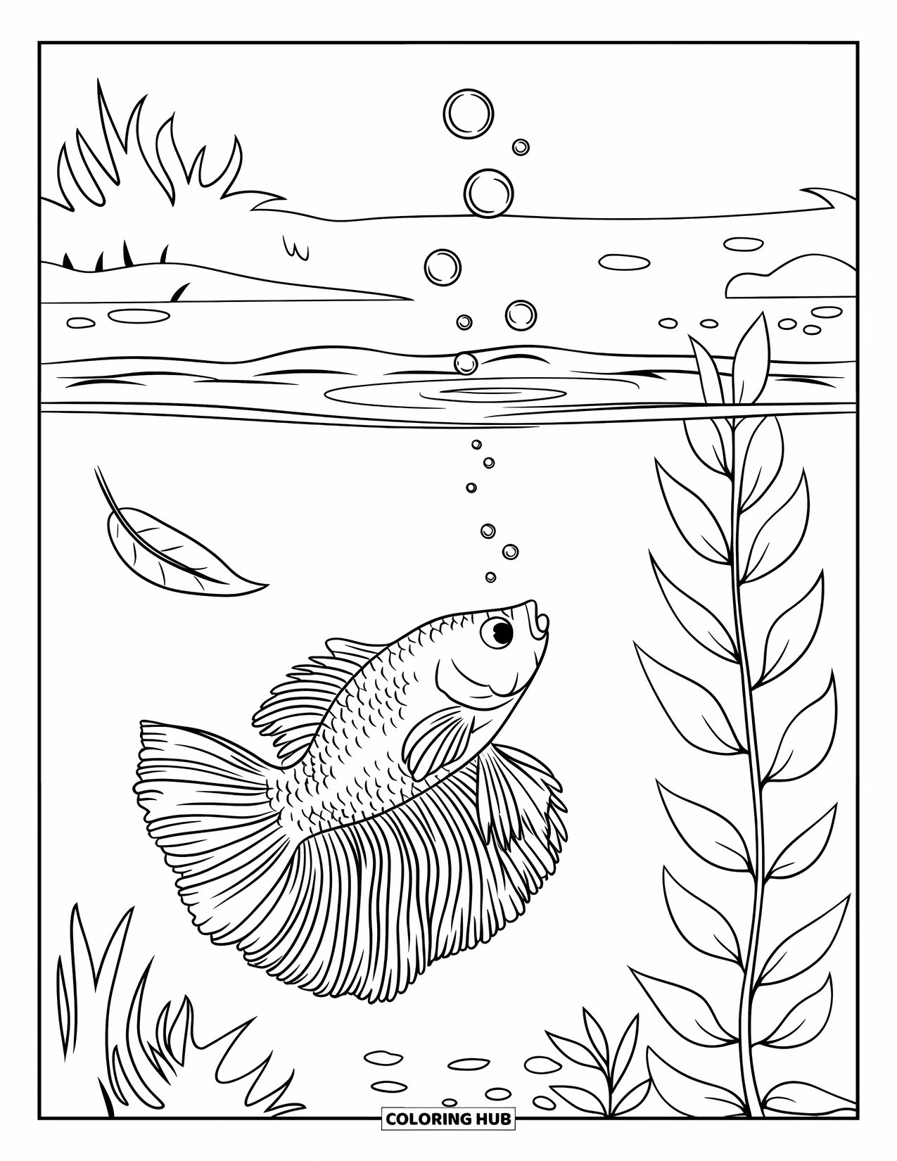 Betta Fish Coloring Page for Kids: A betta fish swims and blows bubbles with leaves gently floating above