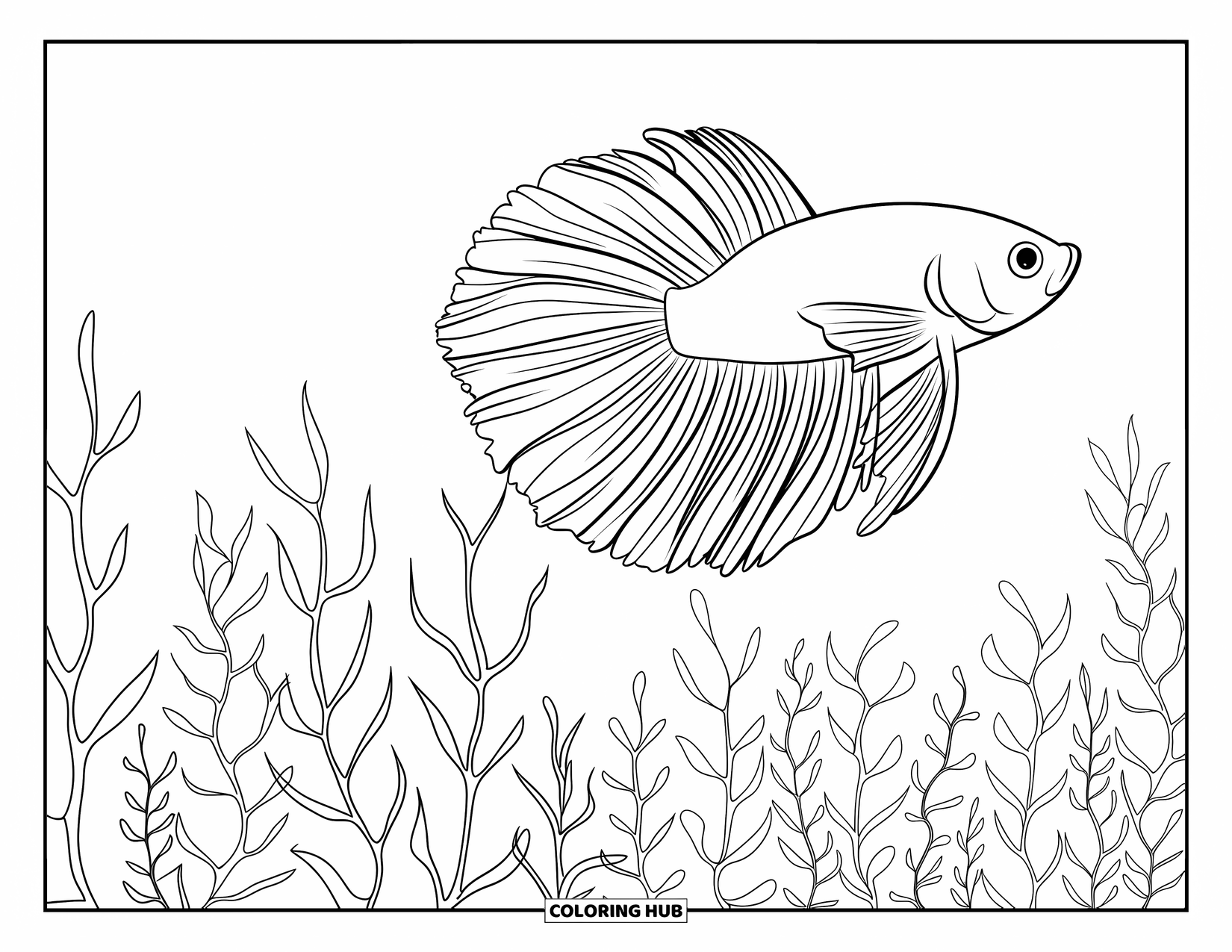 Betta Fish Coloring Page for Kids: A betta fish swims beside a row of tall, wavy underwater plants
