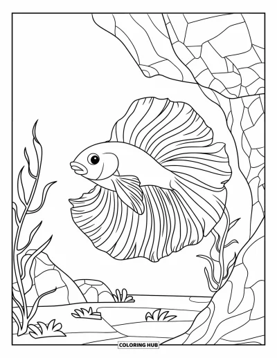 Coloriage de poisson betta pour enfants : Un poisson betta nage tranquillement près d'une paroi rocheuse avec quelques plantes vertes