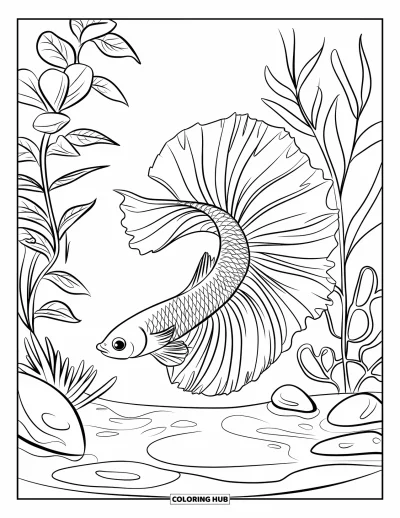 Coloriage de poisson betta pour enfants : Un poisson betta se tord près de plantes et de pierres dans une eau limpide et tranquille