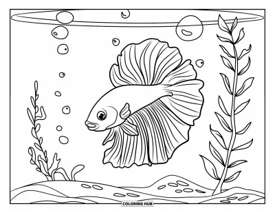 75+ Coloriages de poisson betta pour enfants et adultes (Gratuits)