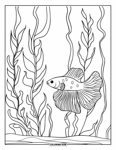 Coloriage de poisson betta pour enfants : Un poisson betta aux nageoires orangées nage autour de grandes plantes dans une eau paisible