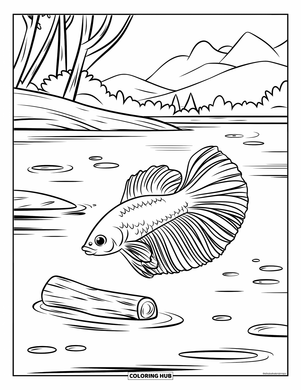 Betta Fish Coloring Page for Kids: A red betta fish swims by a log and small rocks in calm, shallow water