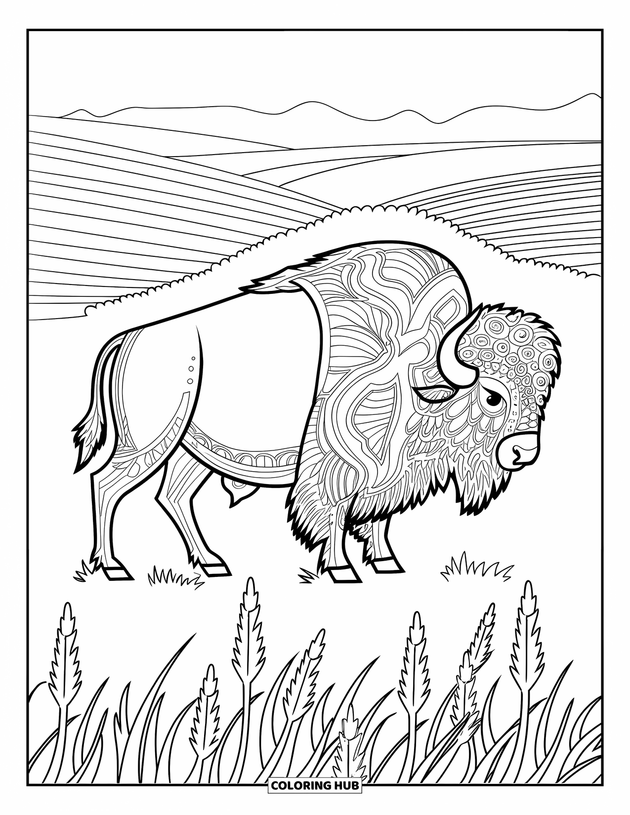Buffalo Coloring Page for Adults: A buffalo with bold patterns stands in a grassy prairie with soft hills
