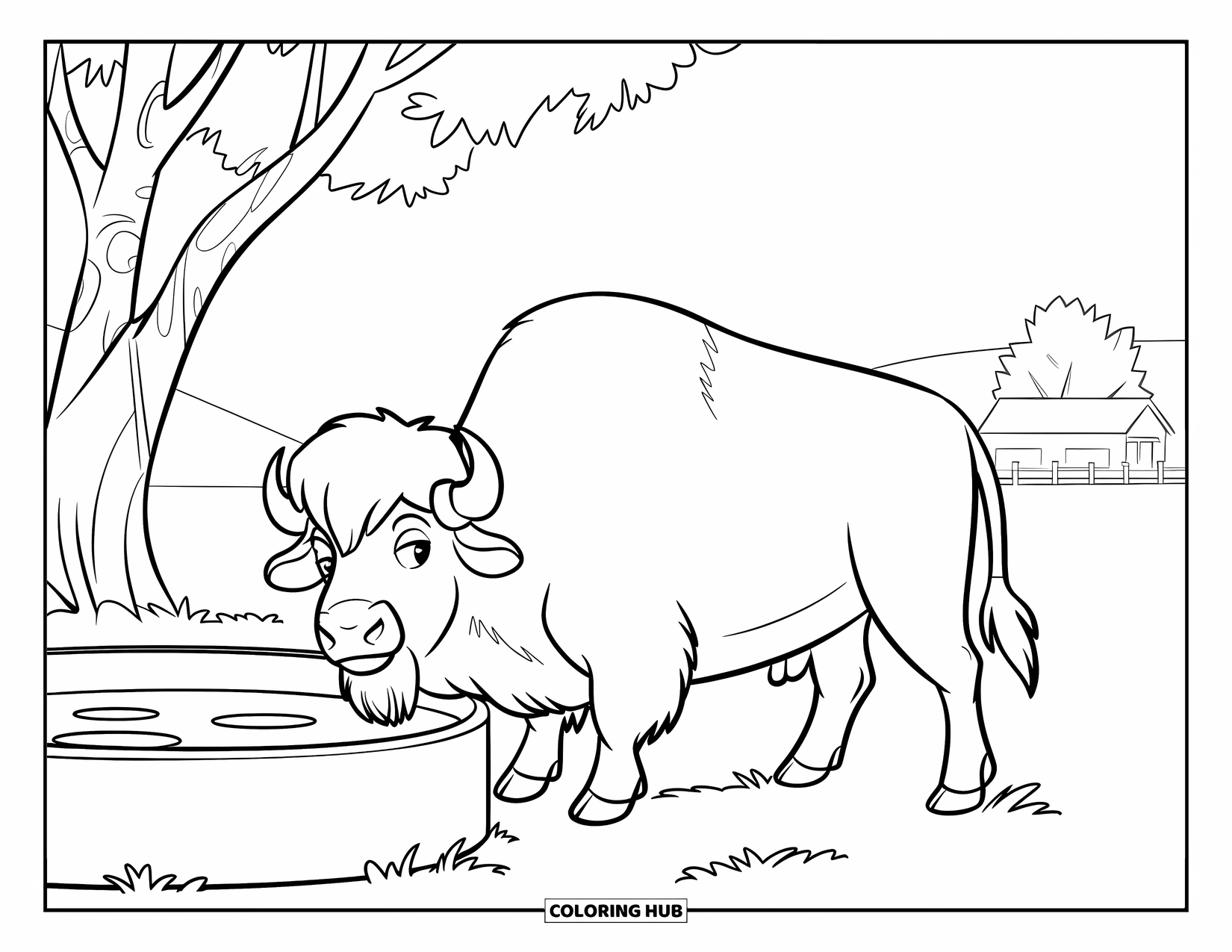 Buffalo Coloring Page for Kids: A buffalo drinks near a trough with trees and a building in the distance