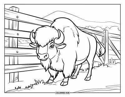 85+ Desenhos de búfalo para colorir para crianças e adultos (Grátis)