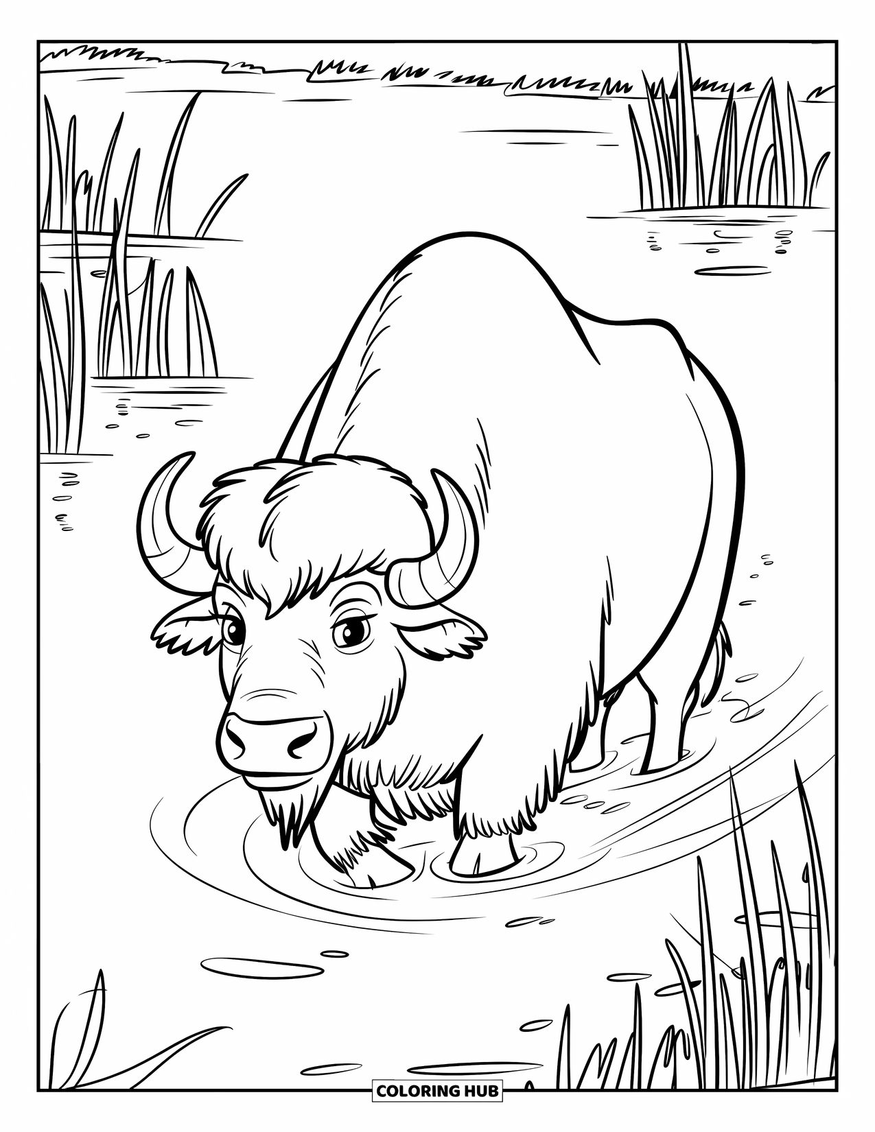 Buffalo Coloring Page for Kids: A large buffalo walks through calm water lined with reeds and grass