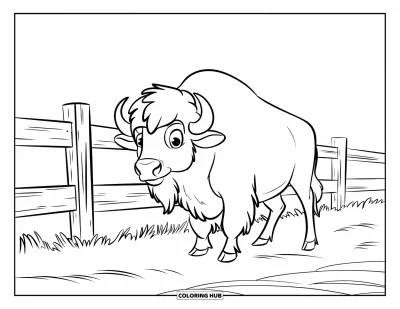 Kleurplaat van een bizon voor kinderen: Een trotse bizon staat naast een houten ranchhek in een open veld