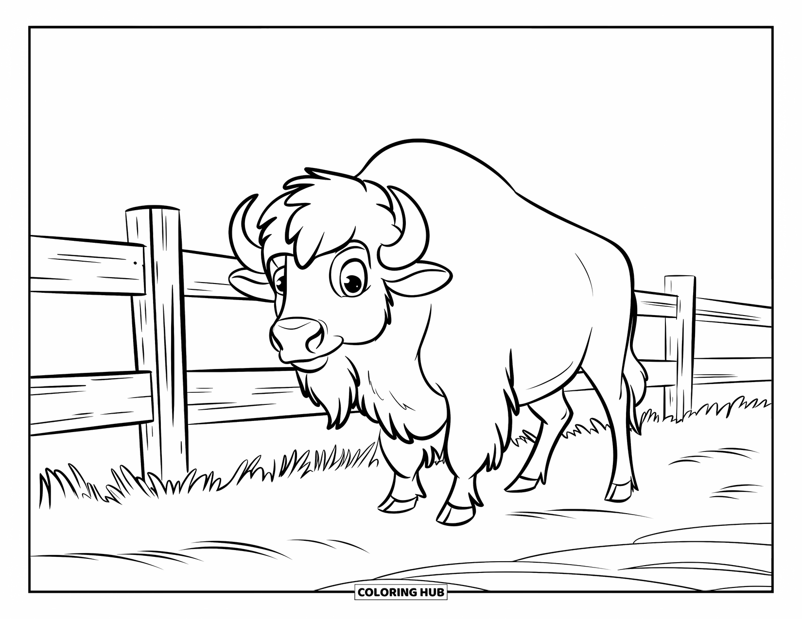 Buffalo Coloring Page for Kids: A proud buffalo stands beside a wooden ranch fence in an open field