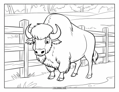 Kleurplaat van een bizon voor kinderen: Een bizon met dikke vacht staat fier naast een paalstijl ranchhek