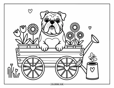 Desen de colorat cu bulldog pentru adulți: Un bulldog merge într-un cărucior de flori cu roți în formă de inimă și flori vesele în jur