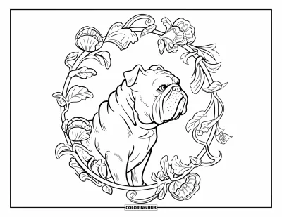 Desen de colorat cu bulldog pentru adulți: Un bulldog zbârcit este înconjurat de viță de vie cu flori și frunze în răsuciri delicate