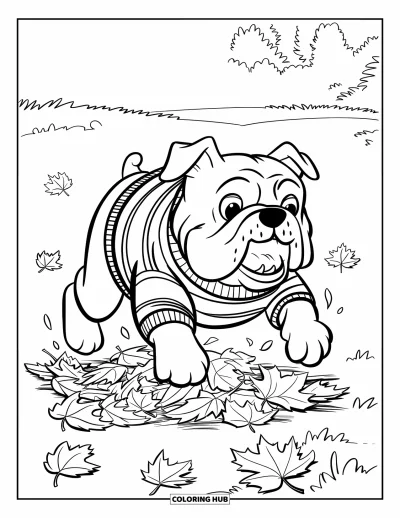 Desen de colorat cu bulldog pentru copii: Un bulldog în pulover în dungi sare într-un morman de frunze de toamnă