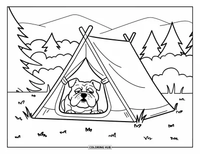 Desen de colorat cu bulldog pentru copii: Un bulldog privește dintr-un cort în timpul unui camping liniștit