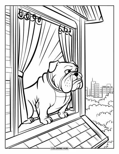 Desen de colorat cu bulldog pentru copii: Un bulldog stă pe un acoperiș privind orașul printr-o fereastră cu perdele