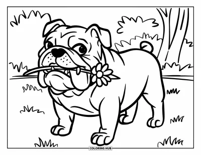 Desen de colorat cu bulldog pentru copii: Un bulldog stă pe un câmp ținând o floare în gură