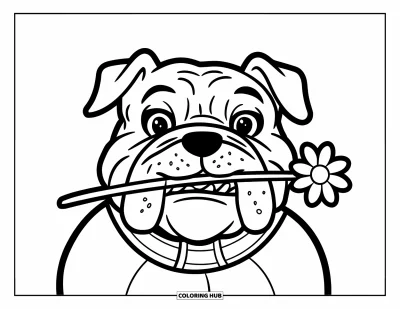 Desen de colorat cu bulldog pentru copii: Un bulldog vesel cu zgardă poartă o floare în gură
