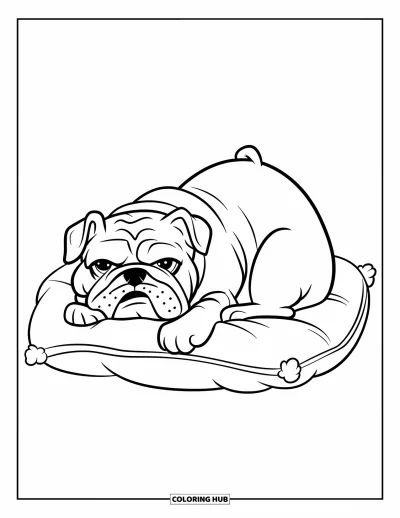 Desen de colorat cu bulldog pentru copii: Un bulldog drăguț se face ghem pe o pernă moale și pufoasă