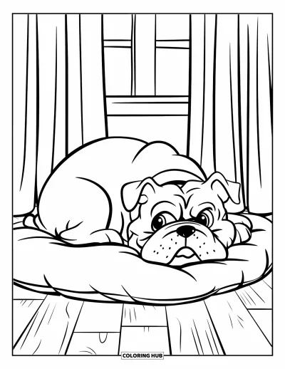 Desen de colorat cu bulldog pentru copii: Un bulldog cu față rotundă moțăie pe o pernă lângă o fereastră cu perdele