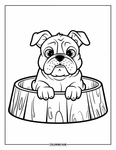 Desen de colorat cu bulldog pentru copii: Un cățeluș bulldog cu ochi mari se odihnește într-un bol de lemn pentru câini