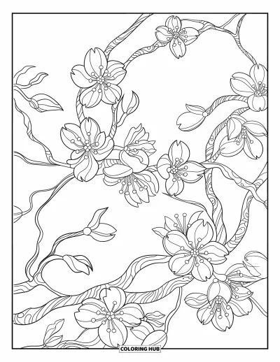 Kirschblüten-Ausmalbild für Erwachsene: Nahaufnahme von verschlungenen Kirschzweigen voller Blüten