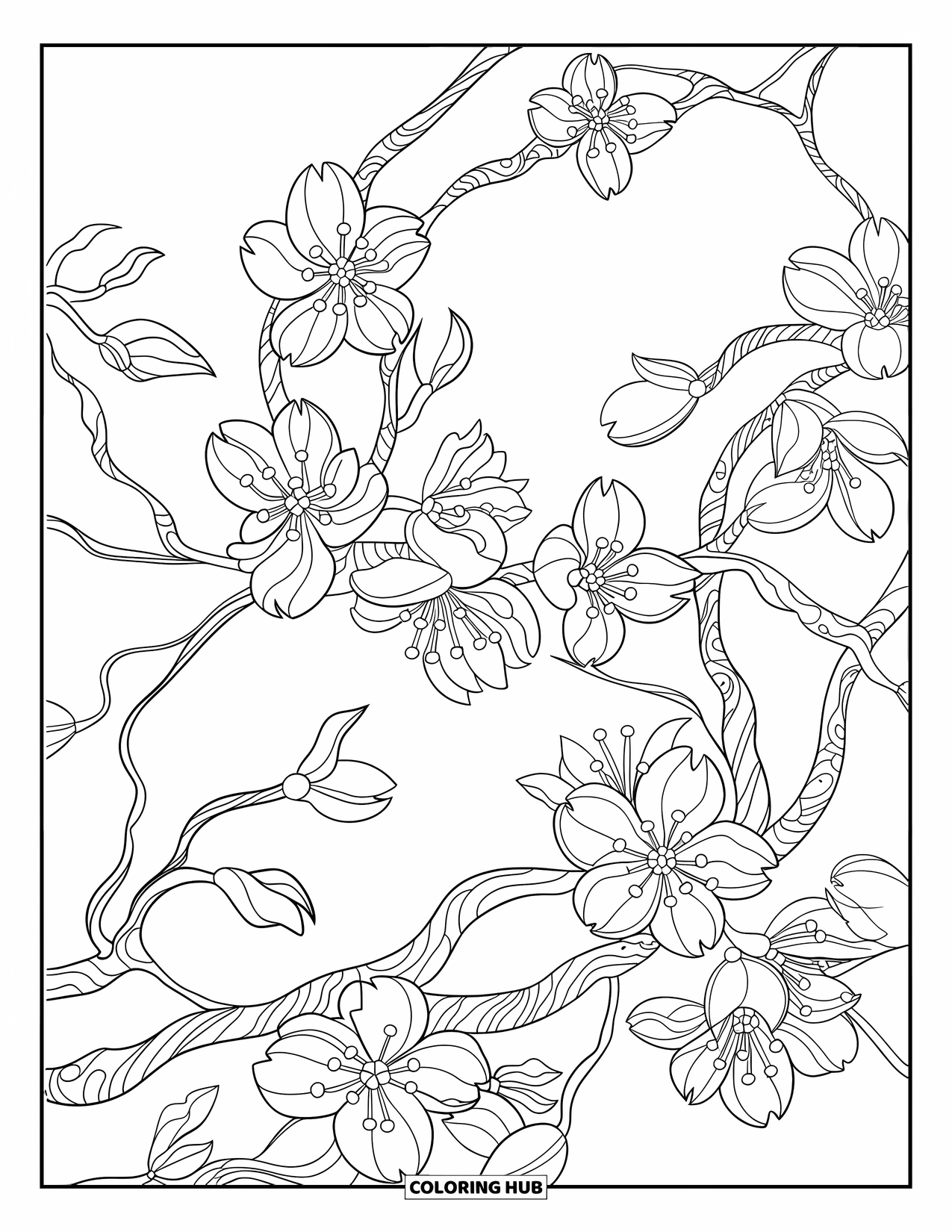 Cherry Blossom Coloring Page for Adults: Close-up of tangled cherry branches filled with blossoms