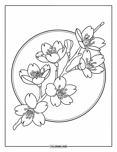 Kirschblüten-Ausmalbild für Kinder: Ein Kirschblütenzweig mit fünf Blüten, eingerahmt in einen ordentlichen Kreis