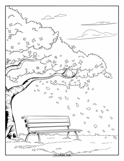 Kirschblüten-Ausmalbild für Kinder: Einige Blüten fallen von einem Kirschbaum über einer stillen Parkbank