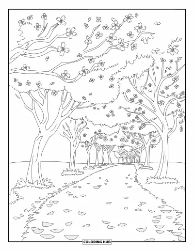 Kirschblüten-Ausmalbild für Kinder: Ein ruhiger Spazierweg unter blühenden Kirschbäumen und offenem Himmel
