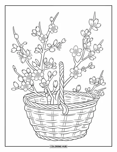 Kirschblüten-Ausmalbild für Kinder: Ein schlichter Korb mit darin arrangierter Kirschblütenzweige